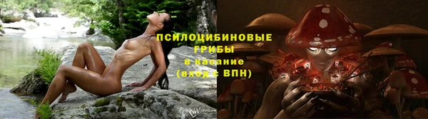 спиды Гусиноозёрск